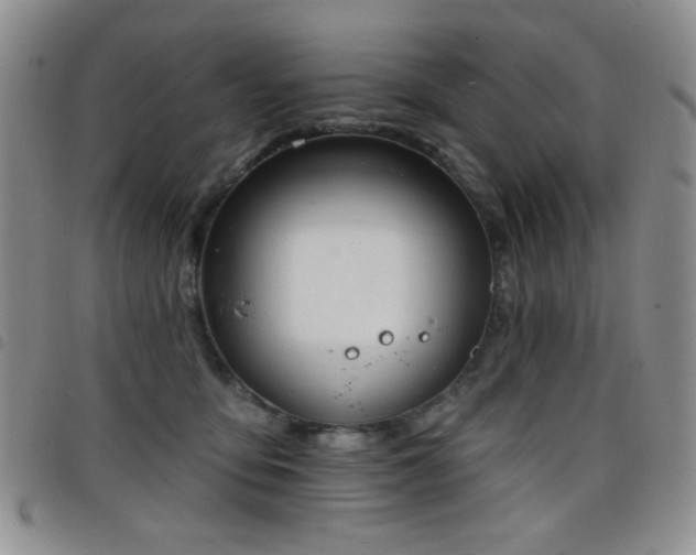 X0000098210419200804241325