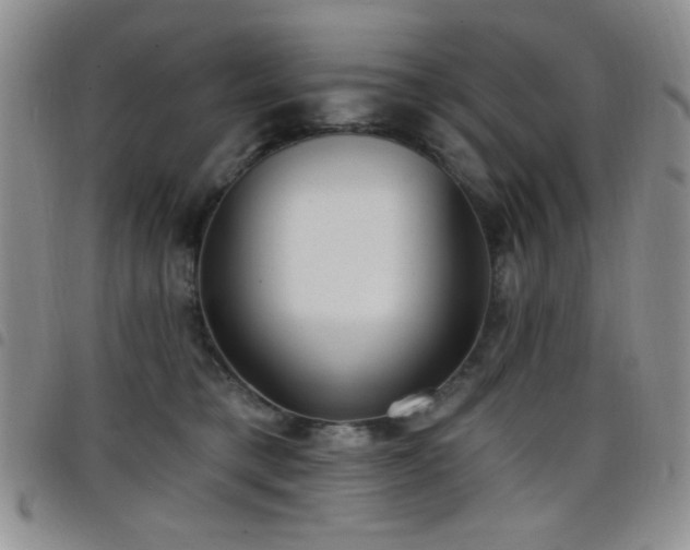 X0000098210421200804241325