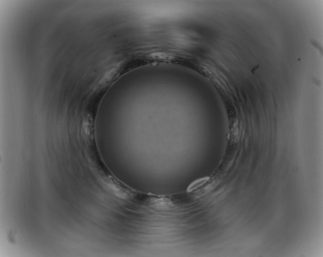 X0000098210424200804241325