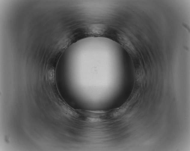 X0000098210425200804241325