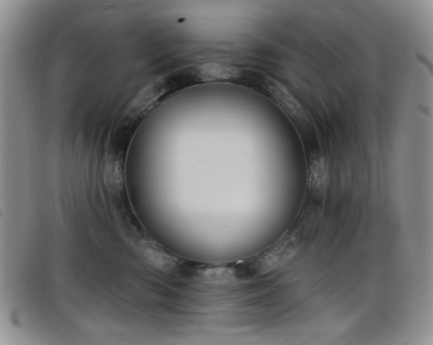 X0000098210426200804241325