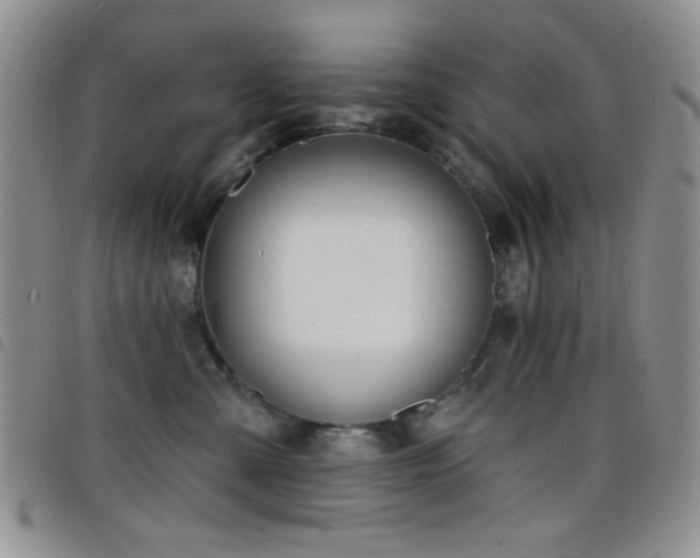 X0000098210427200804241325