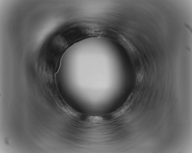 X0000098210429200804241325
