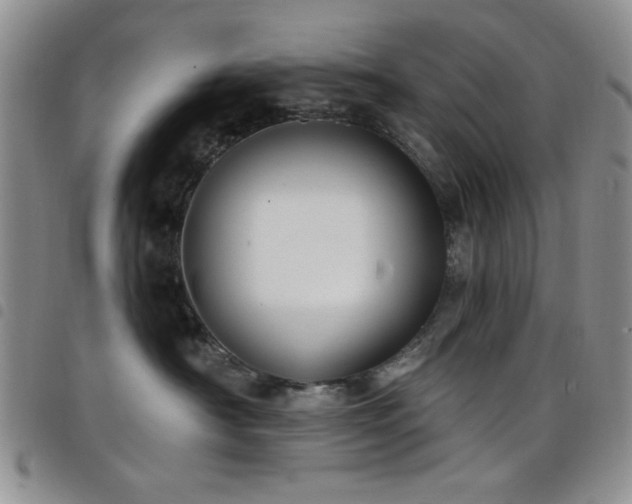 X0000098210430200804241325
