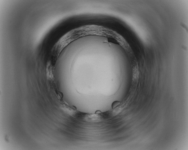 X0000098210431200804241325
