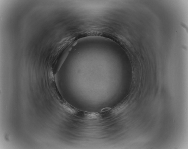 X0000098210432200804241325