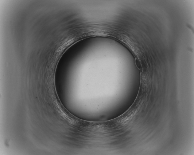 X0000098210433200804241324