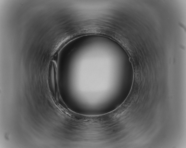 X0000098210434200804241324