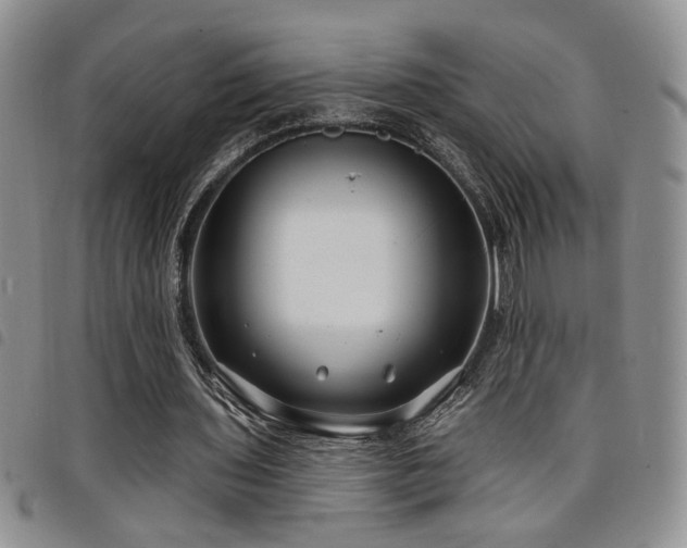 X0000098210435200804241324
