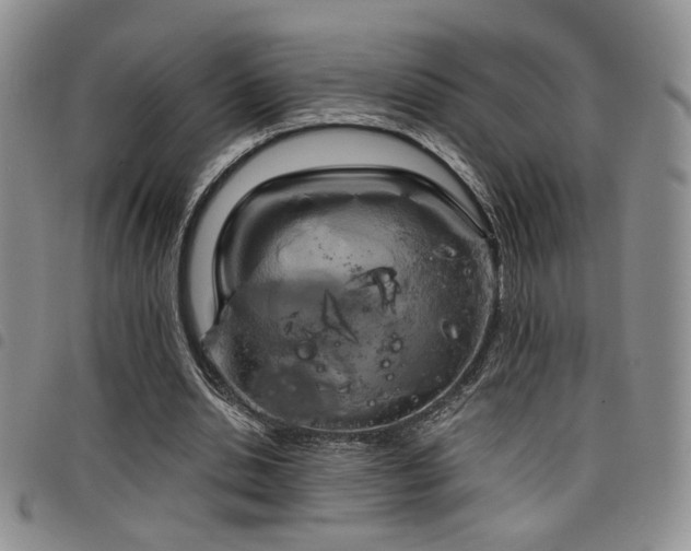 X0000098210438200804241325