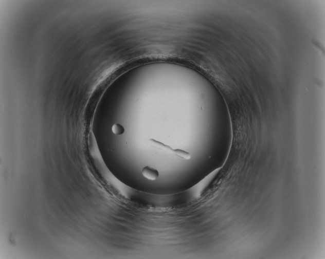 X0000098210440200804241325