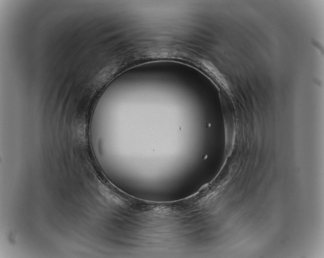 X0000098210441200804241325