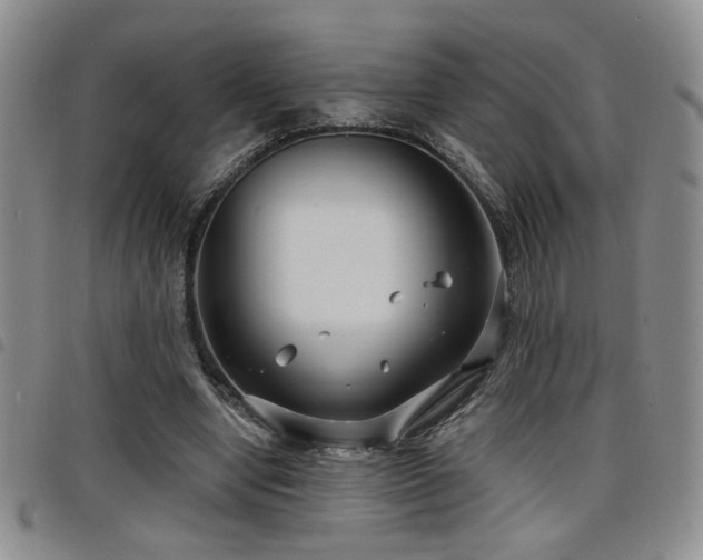 X0000098210442200804241325