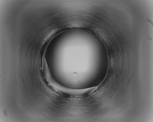 X0000098210444200804241325