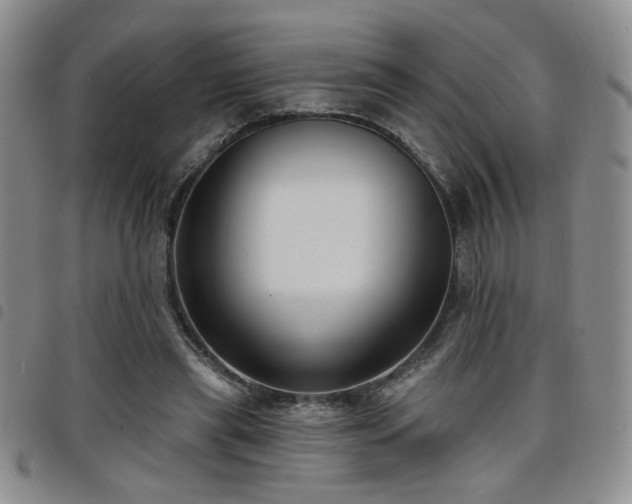 X0000098210445200804241325