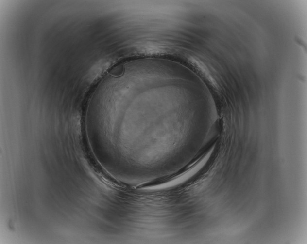 X0000098210447200804241325