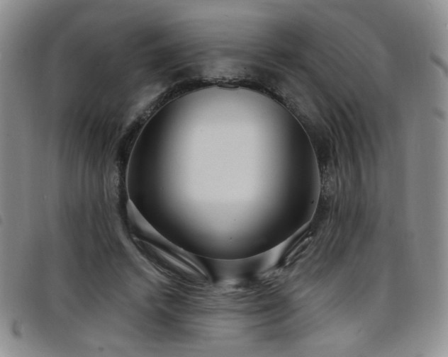 X0000098210448200804241325