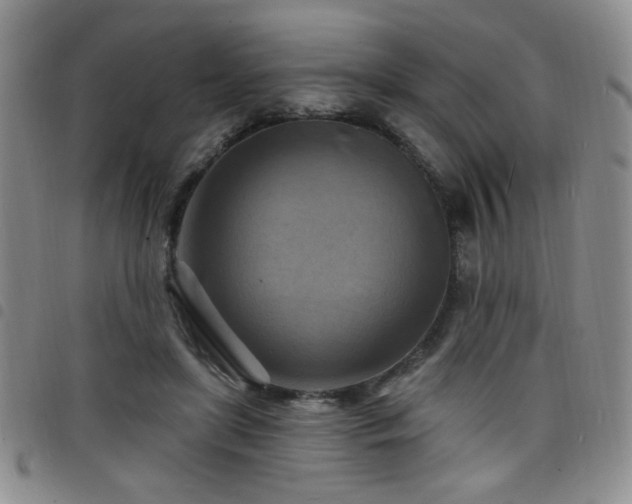 X0000098210451200804241325