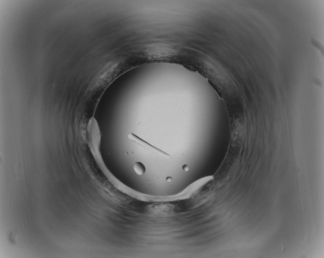 X0000098210452200804241325
