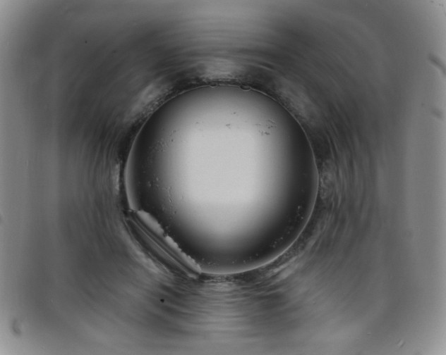 X0000098210454200804241325