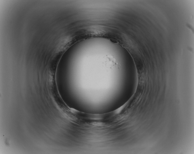 X0000098210456200804241325