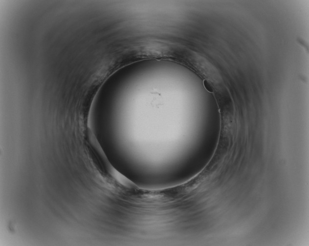 X0000098210457200804241325