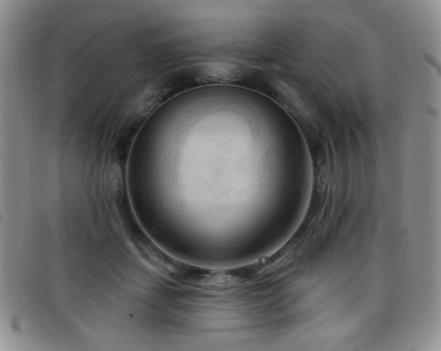 X0000098210459200804241325