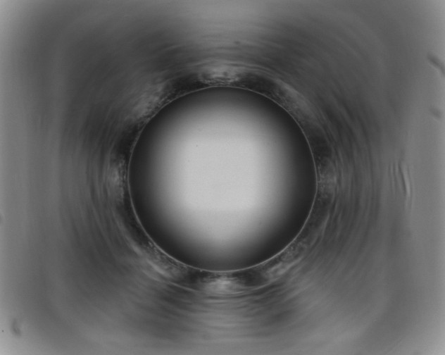 X0000098210460200804241325