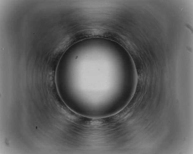 X0000098210462200804241325