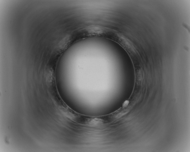 X0000098210463200804241325