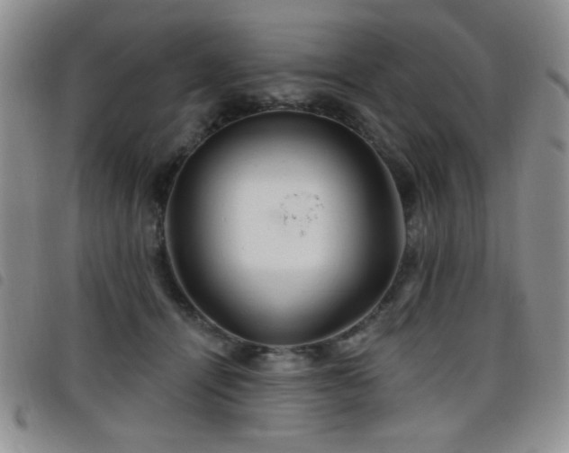 X0000098210464200804241325