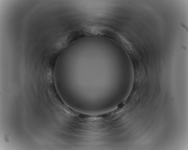 X0000098210465200804241325
