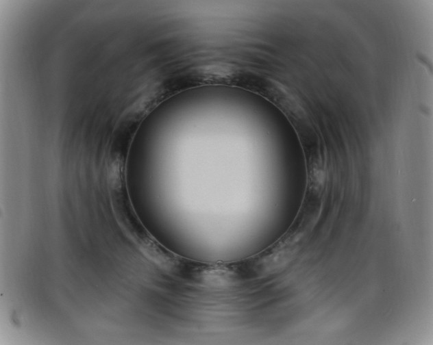X0000098210468200804241325