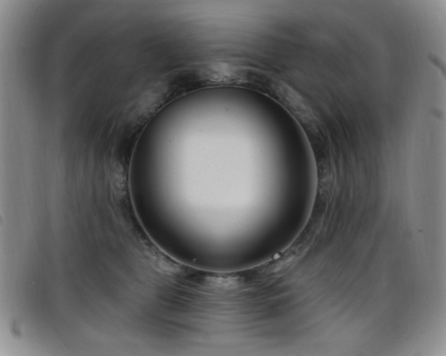 X0000098210469200804241325