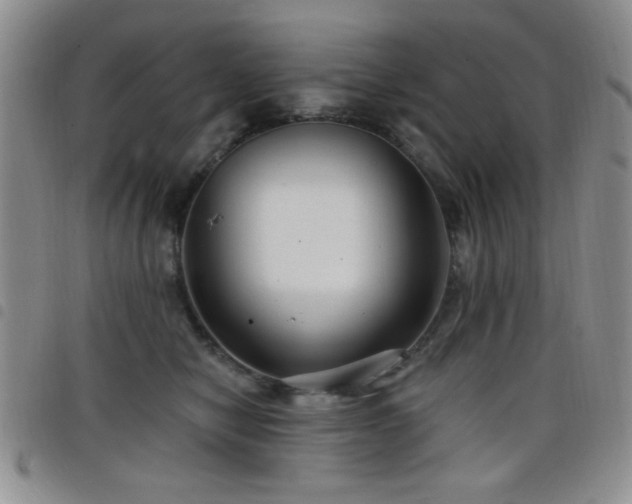 X0000098210470200804241325