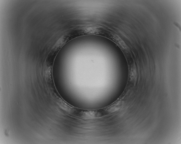 X0000098210473200804241325