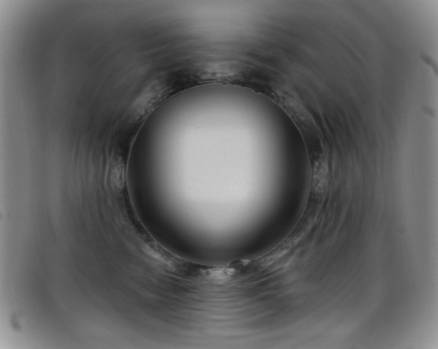X0000098210474200804241325