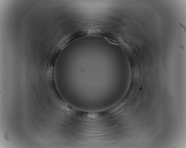 X0000098210475200804241325