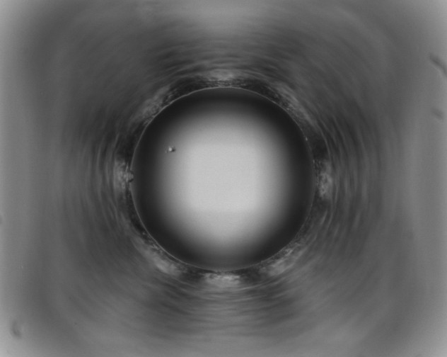 X0000098210476200804241325