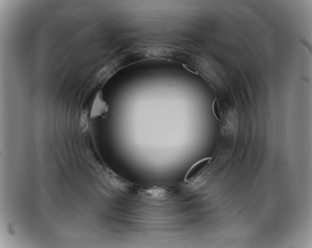 X0000098210478200804241325