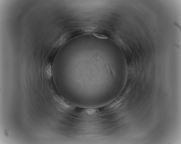 X0000098210479200804241325