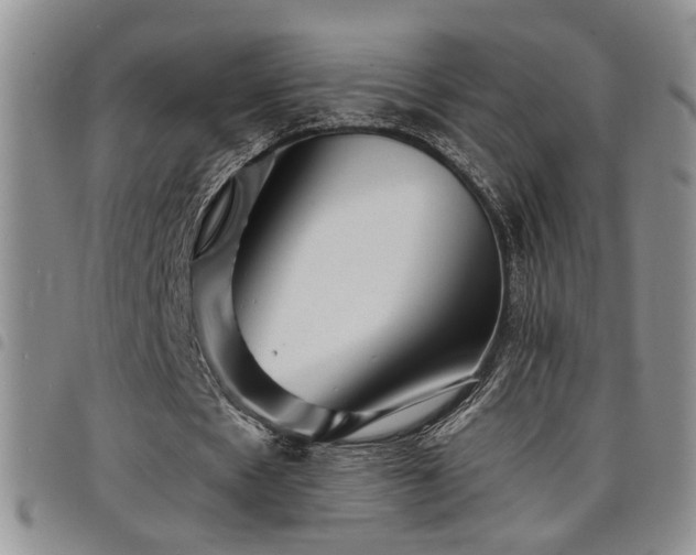 X0000098210481200804241324