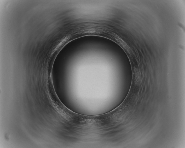 X0000098210482200804241324