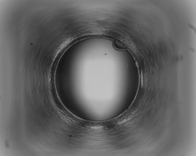 X0000098210483200804241324