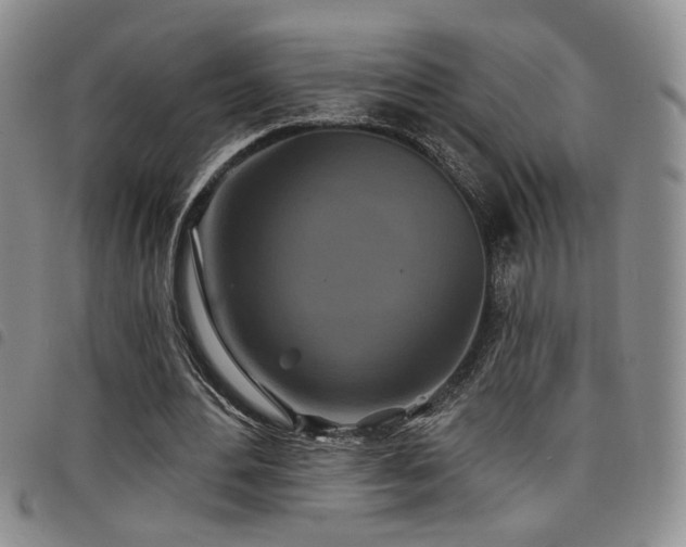 X0000098210484200804241324
