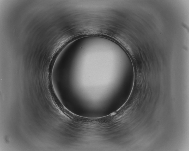 X0000098210485200804241324