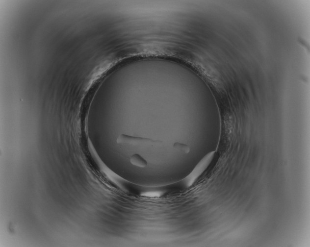 X0000098210488200804241324