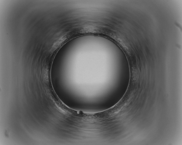 X0000098210489200804241324