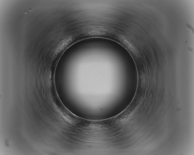 X0000098210490200804241324