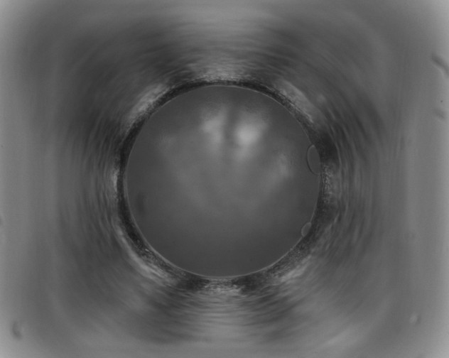 X0000098210491200804241324